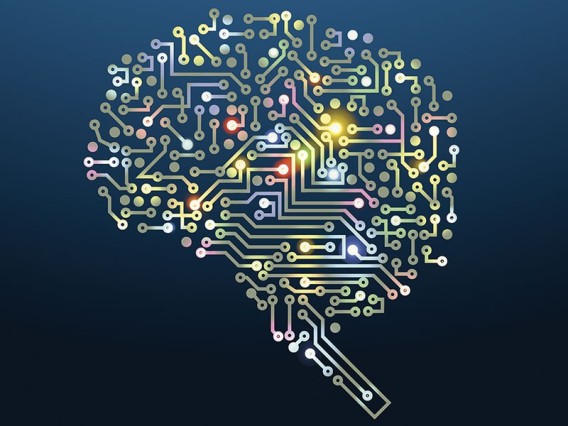 Ваш лучший мозг - Джон Медина [все, что вам нужно _0.jpg